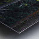 Tranquil Path  Metal print