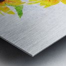 Abstract bouquet of flowering sunflowers Metal print