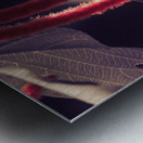 IMG_2021 Metal print