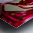 Red Flower Metal print