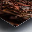 IMG_4228 Metal print