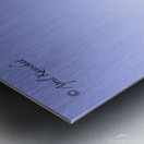 Big Sur Seagull Metal print