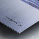 Big Sur Seagull Metal print