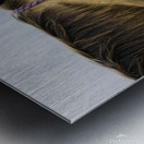 Hawaii Horse Metal print