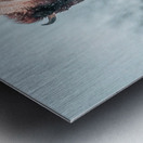 The Cold Walk Home Metal print