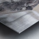 Frosted Eye Shadow Metal print