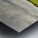 Before the Storm Metal print