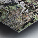 JPT 1617 Metal print