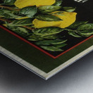 Buy lemons and make lemonade vintage poster Metal print