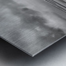 Enjoying The Morning Together Metal print