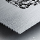 Hidden and waiting Metal print