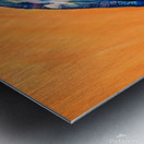 Iridescent Grackle. Erin R Metal print