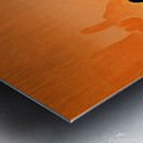 Sunset Desert. DaVere H Metal print