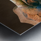 Longhorn Cow In Browns Metal print