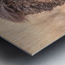 The Pompadour  Impression metal