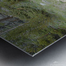 AmongTheTrees - portrait Metal print