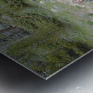 Among the Trees - square Metal print