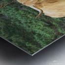 Scottish Bull - large landscape Metal print