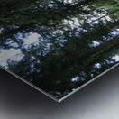 Glamis Castle Grounds Metal print