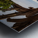 Bell Rock Sedona Arizona Metal print