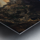 sunset view  Metal print