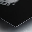 PXL 20220327 141622989 Metal print