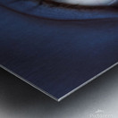eyes Metal print