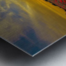 734 Metal print