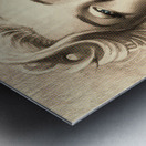 marylin monroe Metal print