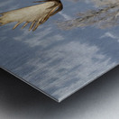 DSC 1165 20x30 Metal print