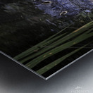 20220216  DSC9762 Edit 20x16 large 8bit Metal print