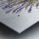  Lavender Watercolor Impression metal