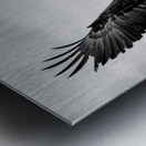 Soaring Metal print