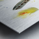 Parrot feathers Impression metal