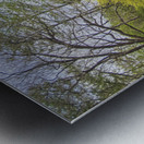 Spring Along the Neuse River - Wayne County North Carolina Metal print