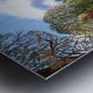 Reflets sur la riviere Metal print