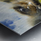 Mountain Creek Metal print