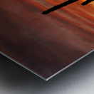 Az Cactus  Sunset Metal print