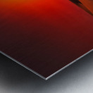 Desert Passion Metal print