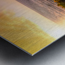 Flower Sunset Metal print