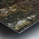 Tunnel Log Sequoia National Park Metal print