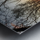 Sunset with Trees Metal print