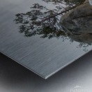 Sequoia Snow Metal print