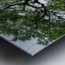 Foothill Spring Metal print