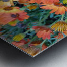 20220331 185238 Metal print