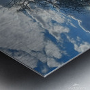 Foothills and Trees Metal print