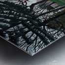 Apres la pluie Metal print