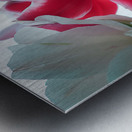 In Bloom in Pastels Metal print