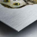 Little owl on a branch Metal print