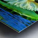 Summer Meditation Metal print